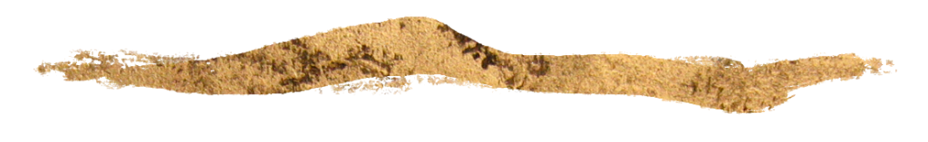 Diamond Coaching - Welle